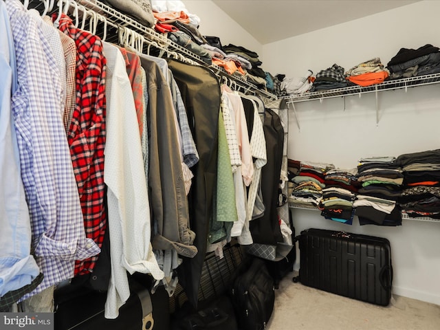spacious closet with carpet floors