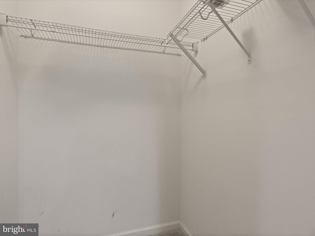 view of walk in closet