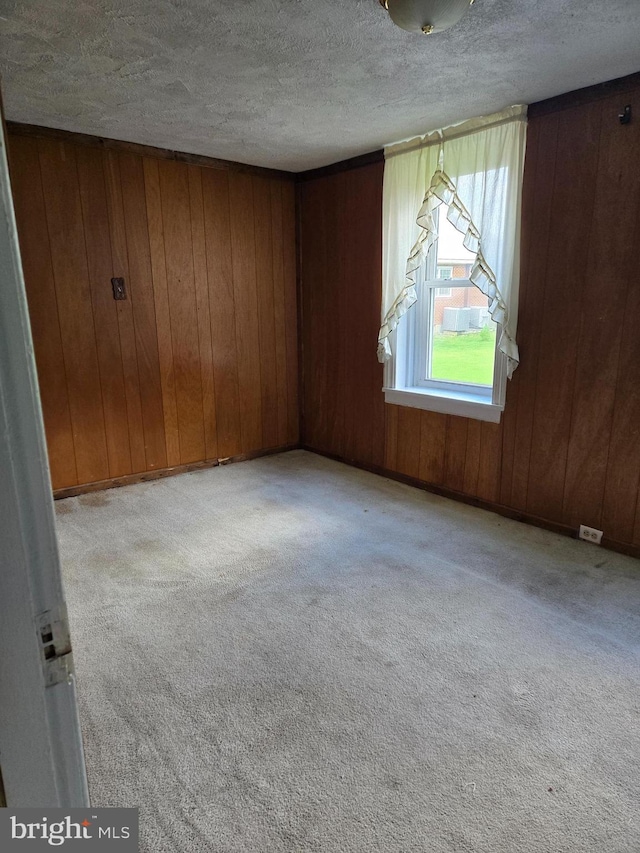 13177 Main St, Fort Loudon, PA 17224 - spare room featuring a textured ceiling, wooden walls, and light carpet