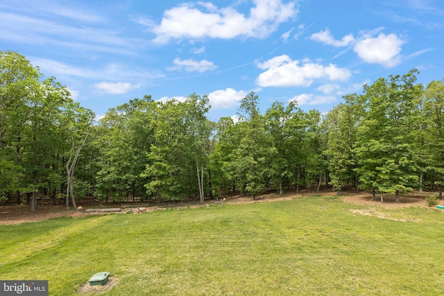 view of grassy yard