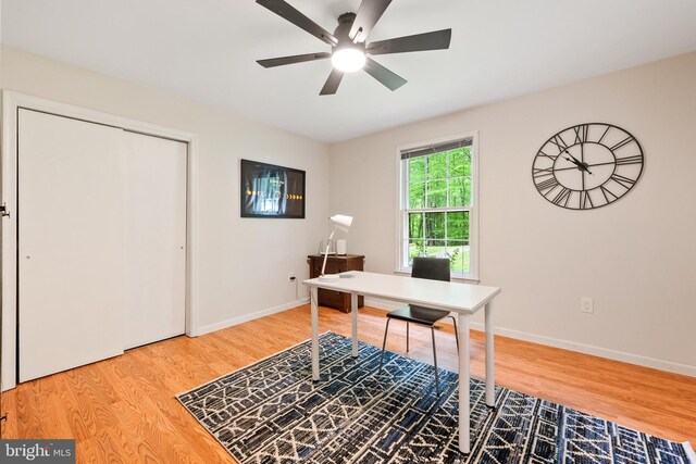 33 Fern Ct, Front Royal, VA 22630 - office space with wood finished floors, a ceiling fan, and baseboards