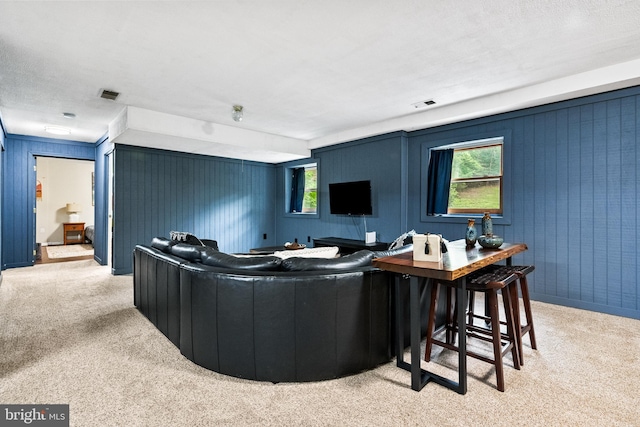 33 Fern Ct, Front Royal, VA 22630 - bar area with carpet, healthy amount of natural light, and wooden walls
