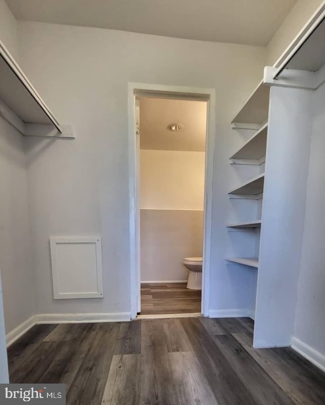 6631 Wakefield Dr Unit 804, Alexandria, VA 22307 - walk in closet with dark wood-style flooring