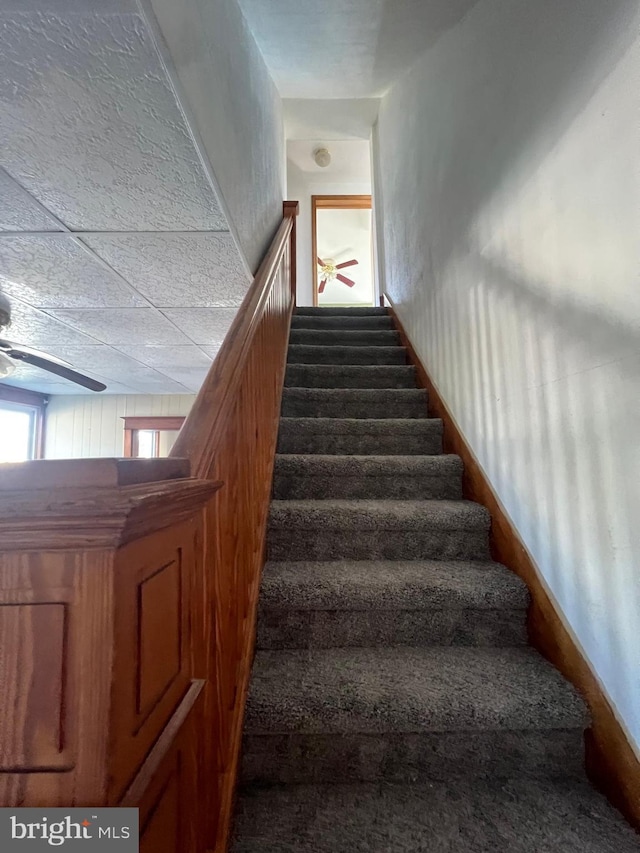 451 Main St, Ashland, PA 17921 - stairway with a ceiling fan, carpet flooring, and baseboards