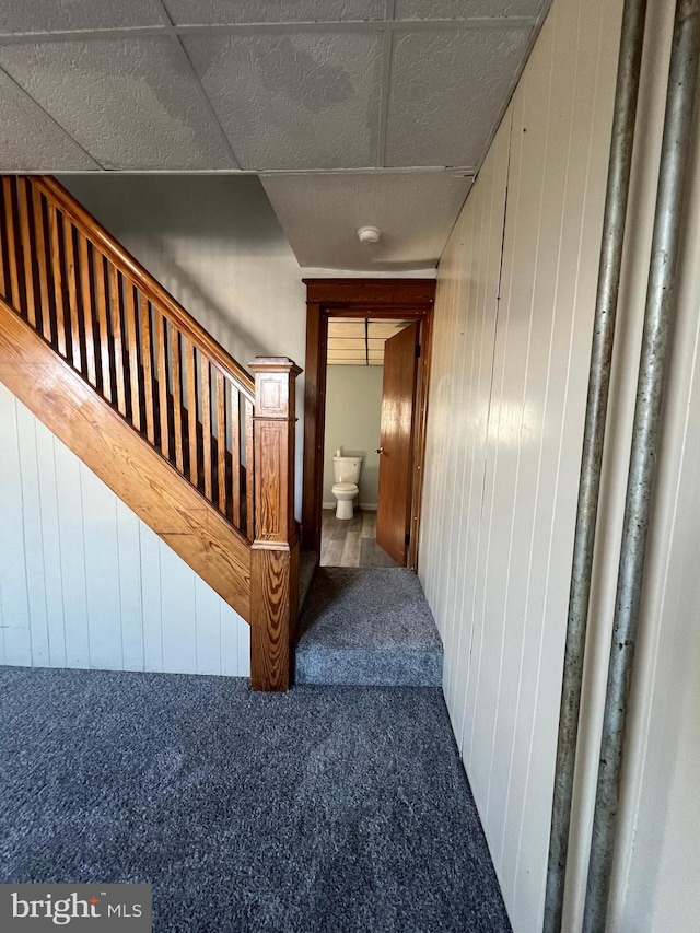 451 Main St, Ashland, PA 17921 - stairs featuring wooden walls and carpet flooring