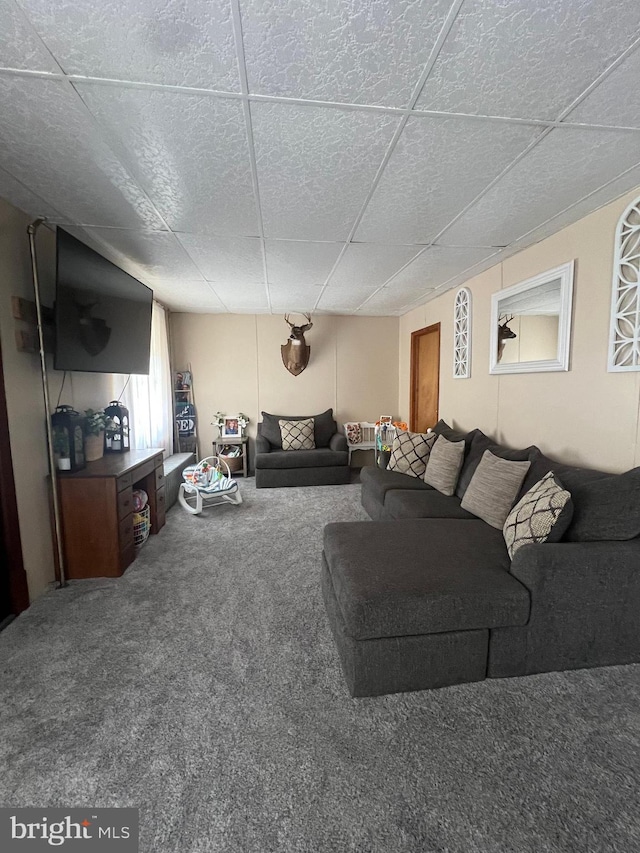 451 Main St, Ashland, PA 17921 - living room with carpet and a drop ceiling