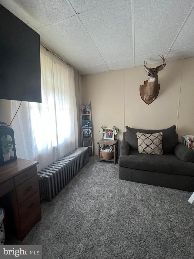 451 Main St, Ashland, PA 17921 - carpeted living room with radiator and a paneled ceiling