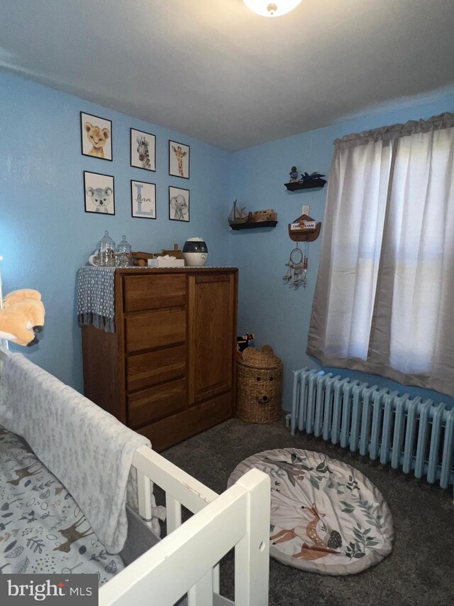 451 Main St, Ashland, PA 17921 - bedroom with radiator heating unit