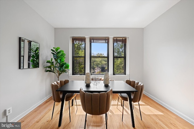 4007 Connecticut Ave NW Unit 302, Washington, DC 20008 - dining space featuring light wood-style floors and baseboards