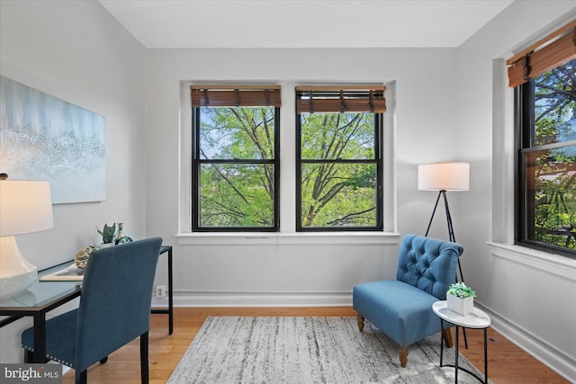 4007 Connecticut Ave NW Unit 302, Washington, DC 20008 - living area with baseboards and wood finished floors