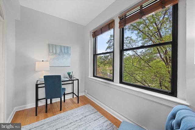 4007 Connecticut Ave NW Unit 302, Washington, DC 20008 - office space with wood finished floors and baseboards