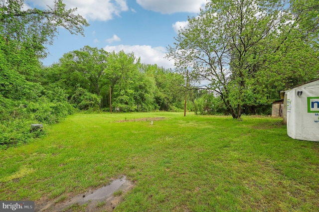 view of green lawn