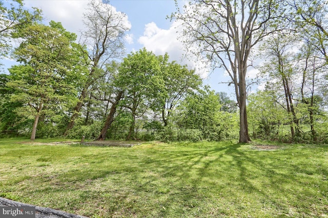 7395 Jonestown Rd, Harrisburg, PA 17112 - view of yard