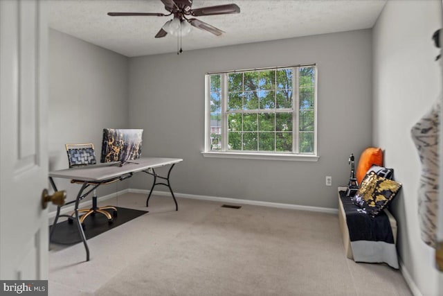 12401 Trotter Ter, Upper Marlboro, MD 20774 - carpeted office space featuring a ceiling fan, baseboards, and a textured ceiling