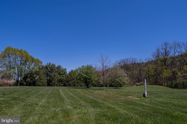 view of yard featuring a forest view