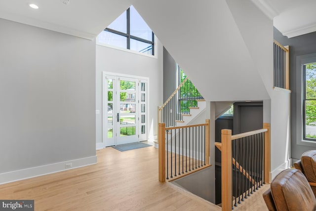 2600 3rd St N, Arlington, VA 22201 - foyer with plenty of natural light, a high ceiling, baseboards, and wood finished floors