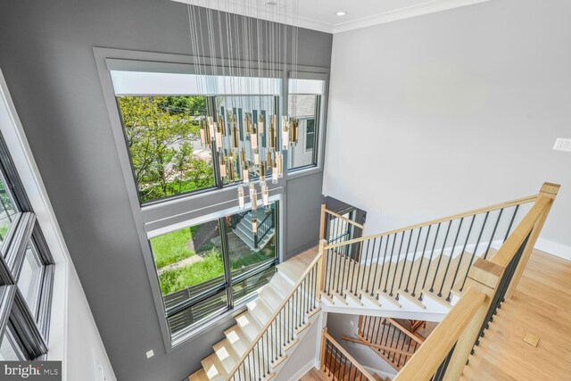 2600 3rd St N, Arlington, VA 22201 - stairway with crown molding, a high ceiling, and wood finished floors