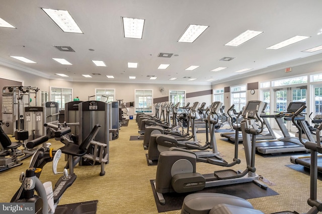 20620 Hope Spring Ter Unit 206, Ashburn, VA 20147 - exercise room featuring crown molding, light colored carpet, and healthy amount of natural light