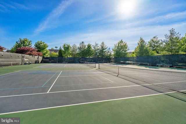 20620 Hope Spring Ter Unit 206, Ashburn, VA 20147 - view of tennis court with community basketball court