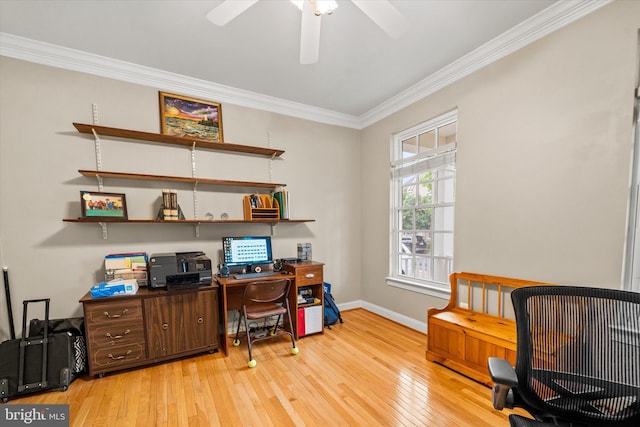 office with light wood-type flooring, baseboards, crown molding, and ceiling fan