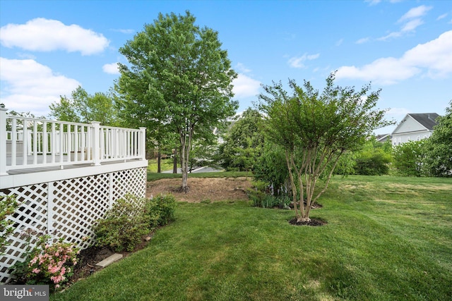 view of yard