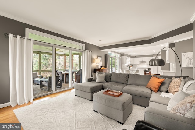 living room featuring light wood-style flooring and crown molding