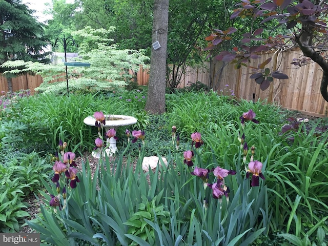 2728 Mckinley St NW, Washington, DC 20015 - view of yard featuring fence