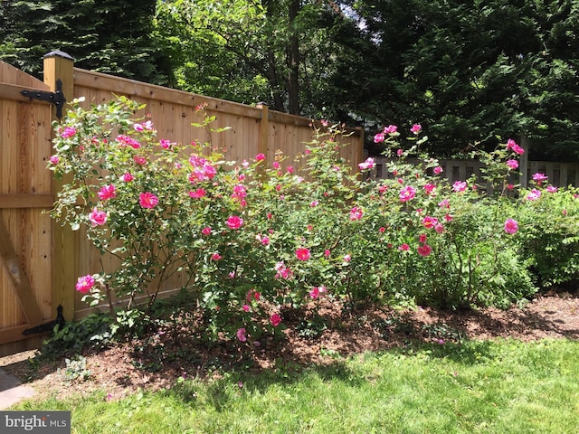2728 Mckinley St NW, Washington, DC 20015 - view of yard with fence