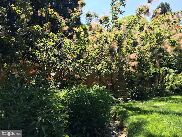 2728 Mckinley St NW, Washington, DC 20015 - view of nature