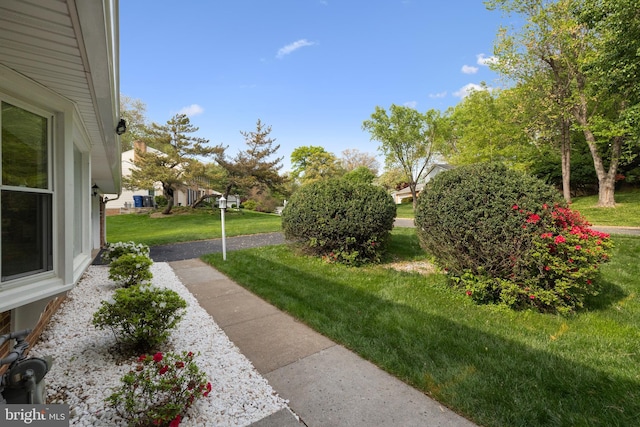 view of yard