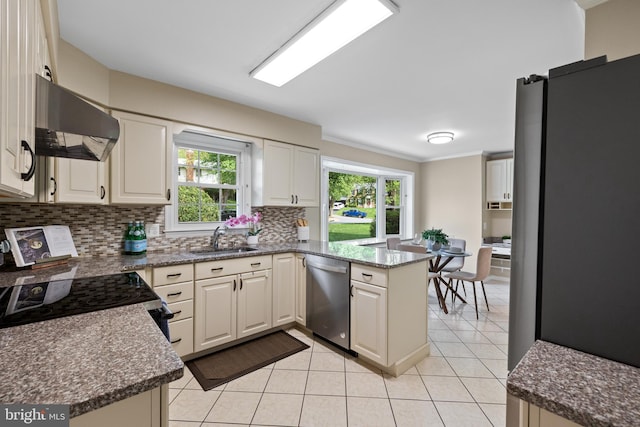 kitchen featuring tasteful backsplash, appliances with stainless steel finishes, a sink, ventilation hood, and a peninsula