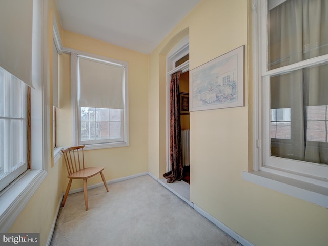 hall with carpet floors and baseboards