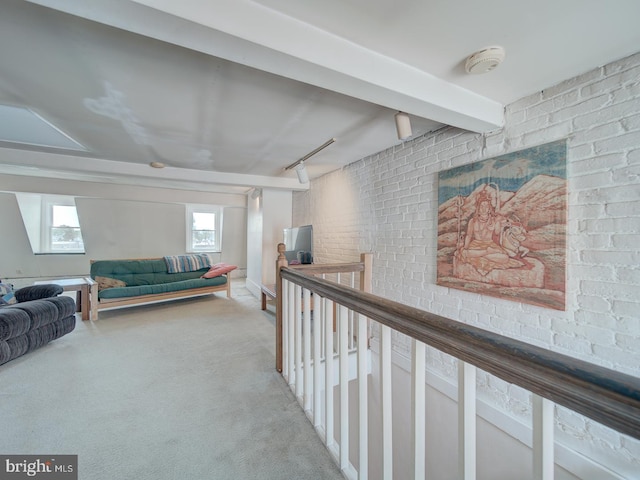 interior space featuring carpet floors and track lighting