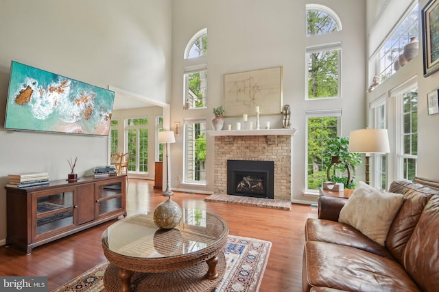 living room with a fireplace, a high ceiling, hardwood / wood-style floors, and a healthy amount of sunlight