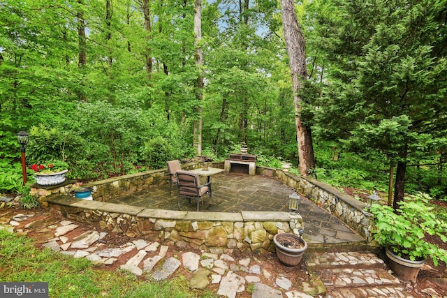 view of yard with a patio