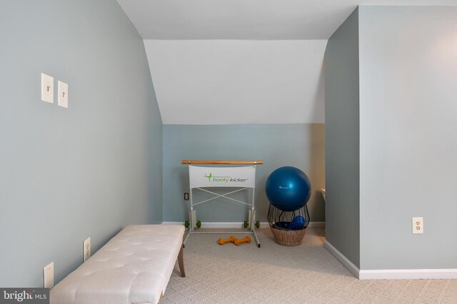 7228 Devereux Ct, Alexandria, VA 22315 - miscellaneous room with carpet, vaulted ceiling, and baseboards
