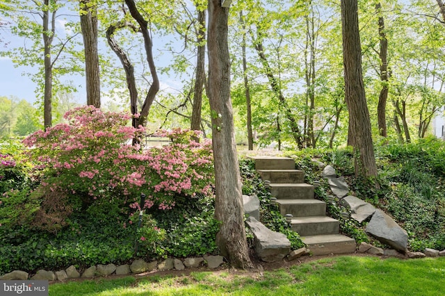 7228 Devereux Ct, Alexandria, VA 22315 - view of yard with stairway