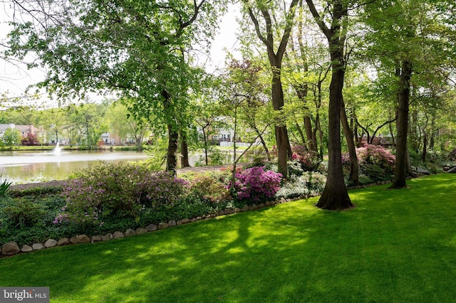 7228 Devereux Ct, Alexandria, VA 22315 - view of green lawn featuring a water view