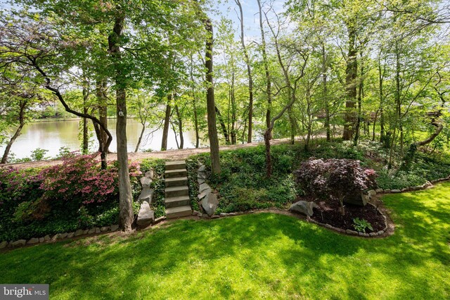 7228 Devereux Ct, Alexandria, VA 22315 - view of green lawn featuring a water view
