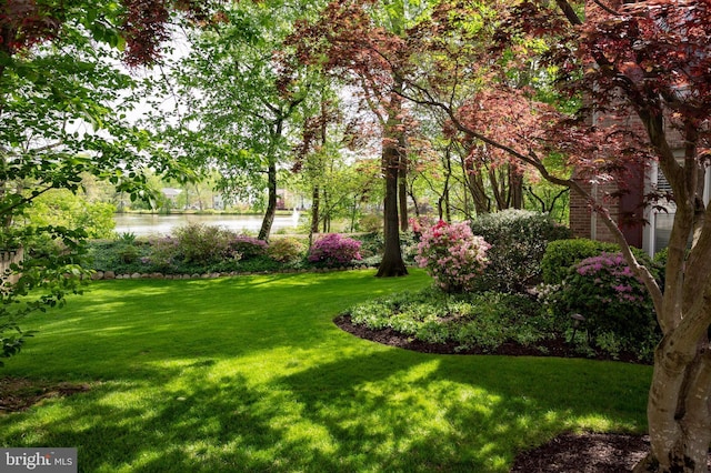 7228 Devereux Ct, Alexandria, VA 22315 - view of green lawn with a water view