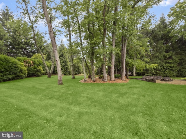 13148 Isle Of Mann Way, Highland, MD 20777 - view of grassy yard