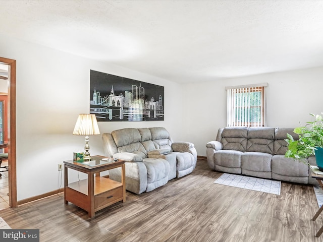 427 Oak Dale Ct, Capon Bridge, WV 26711 - living area featuring wood finished floors and baseboards