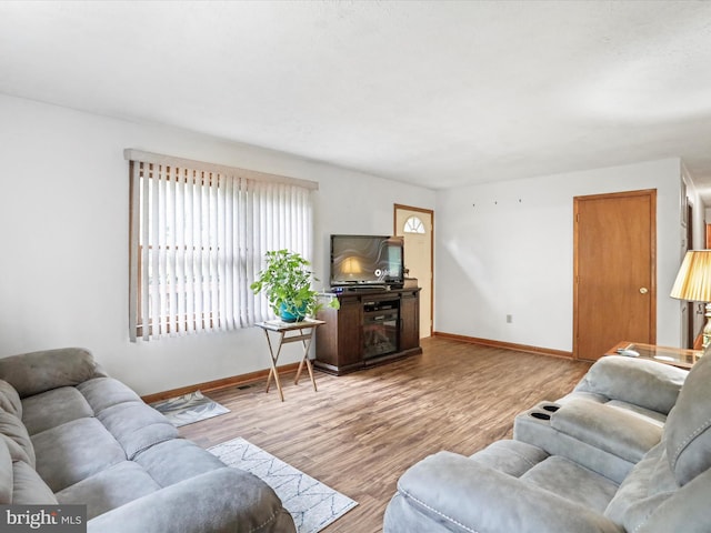 427 Oak Dale Ct, Capon Bridge, WV 26711 - living area featuring baseboards and wood finished floors