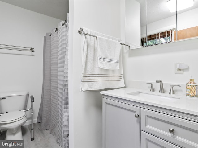 427 Oak Dale Ct, Capon Bridge, WV 26711 - bathroom with toilet, vanity, wood finished floors, and a shower with curtain
