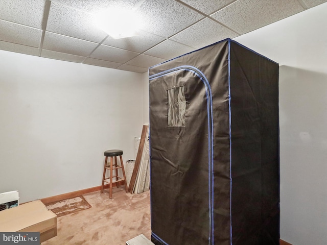 427 Oak Dale Ct, Capon Bridge, WV 26711 - bathroom with a paneled ceiling and baseboards