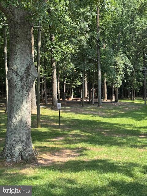 5205 Dunleigh Dr, Burke, VA 22015 - view of community featuring a lawn