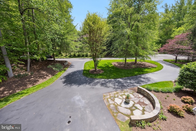 6530 Heather Brook Ct, Mclean, VA 22101 - view of property's community