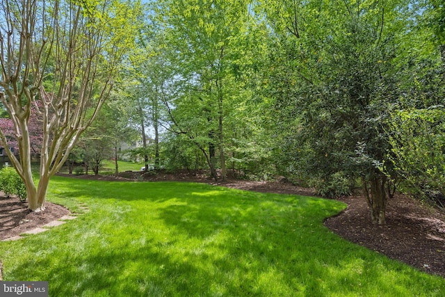 6530 Heather Brook Ct, Mclean, VA 22101 - view of yard