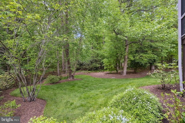 6530 Heather Brook Ct, Mclean, VA 22101 - view of yard