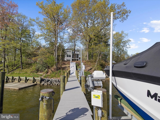 dock area with a water view